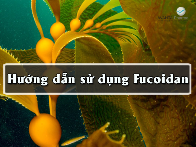 Hướng Dẫn Sử Dụng Fucoidan