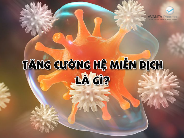 Tăng cường hệ miễn dịch là gì
